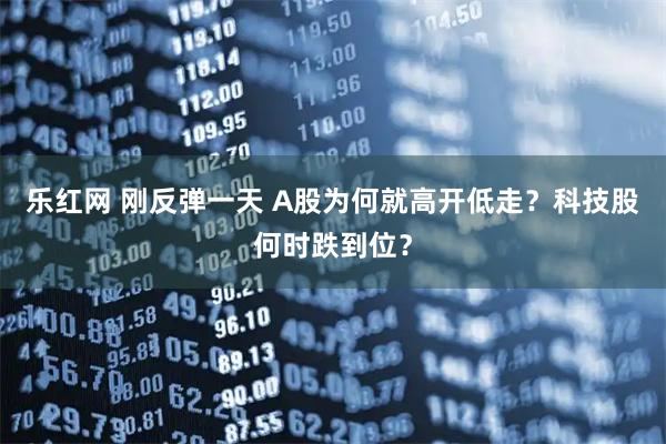乐红网 刚反弹一天 A股为何就高开低走？科技股何时跌到位？