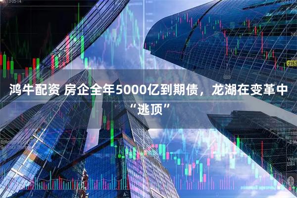 鸿牛配资 房企全年5000亿到期债，龙湖在变革中“逃顶”