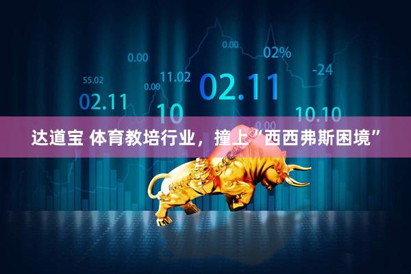 达道宝 体育教培行业，撞上“西西弗斯困境”