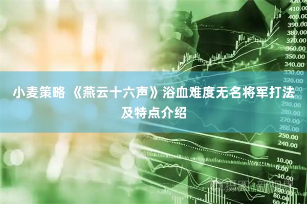 小麦策略 《燕云十六声》浴血难度无名将军打法及特点介绍