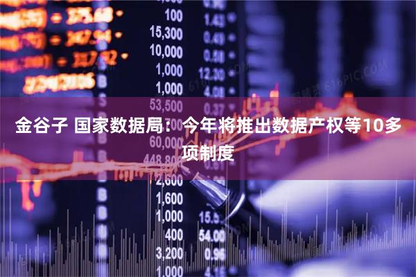 金谷子 国家数据局：今年将推出数据产权等10多项制度